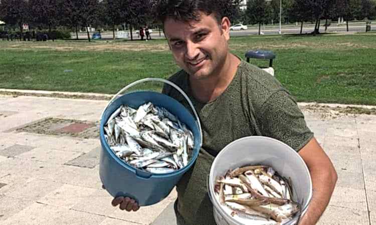 İstavrit Avı Turu